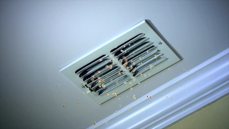 Ductwork Cleaning Services in IA