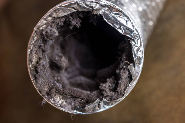Best Affordable Duct Cleaning Services  in Forest City, IA