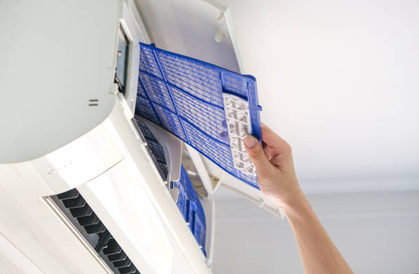 Best Affordable Air Duct Cleaning  in Forest City, IA