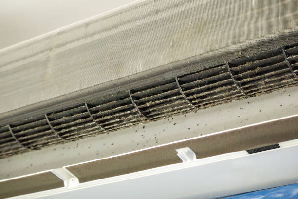 Best Affordable Duct Cleaning Services  in Forest City, IA