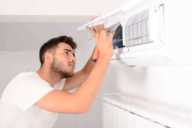 Best Home Air Vent Cleaning  in Forest City, IA
