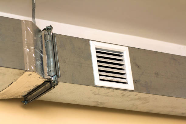 Best HVAC System Cleaning  in Forest City, IA